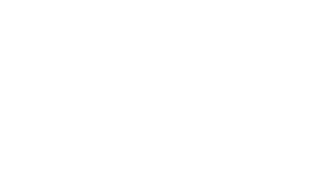 MZ